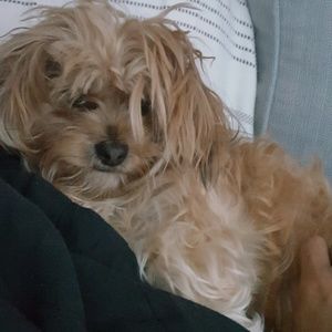 Meet your Posher, Caroline